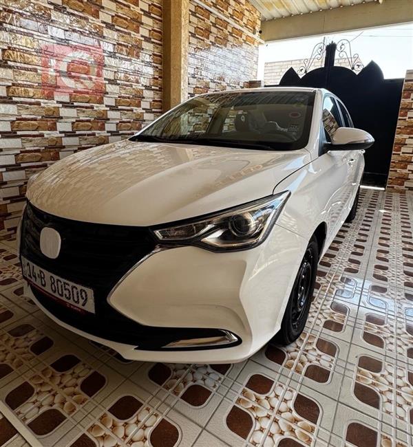 شانجان السفن 2024 للبيع في العراق - البصرة